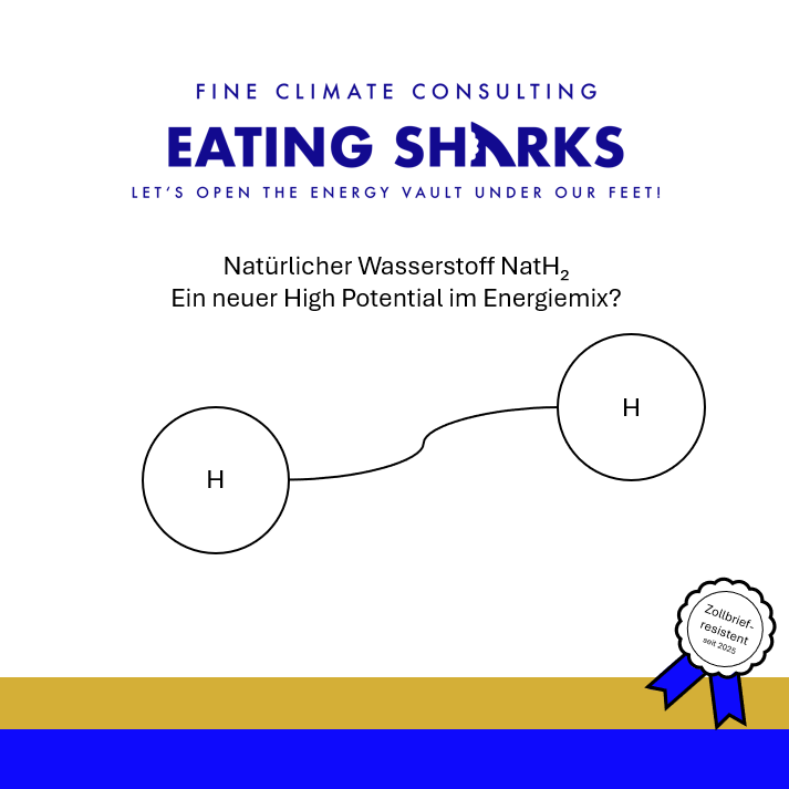 Fine Climate Consultancy Dag Schwarz