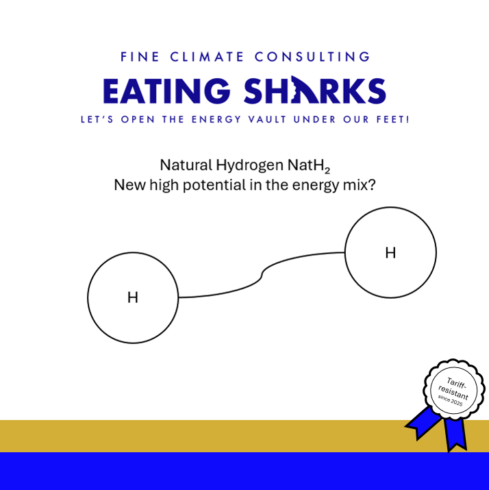 Fine Climate Consultancy Dag Schwarz